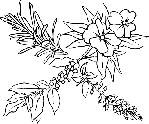 MARINA, Heritage & Legacy